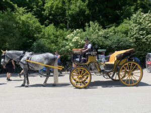 Kutsche im Englischen Garten