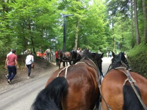 Pferdekutschen und Touristen zu Fuß auf dem Weg hinauf zu Schloß Neuswchwanstein