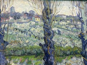 Blick auf Arles und Obstgärten