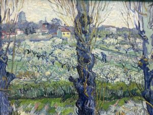 Blick auf Arles und Obstgärten