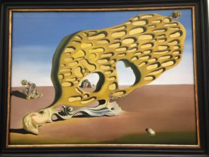 Salvador Dali - Das Rätsel der Begierde