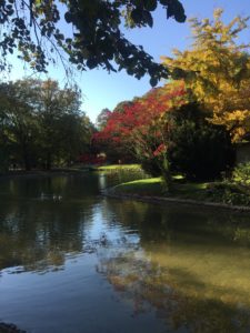 Englischer Landschaftspark