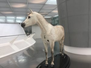 Once there was the horse ...