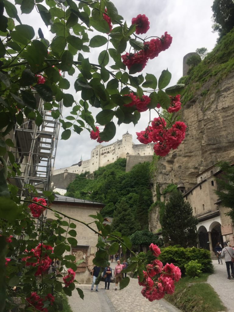 Der St. Peter Friedhof mit Blick auf die Festung Hohensalzburg und rechts die steile Wand mit Überresten von Katakomben